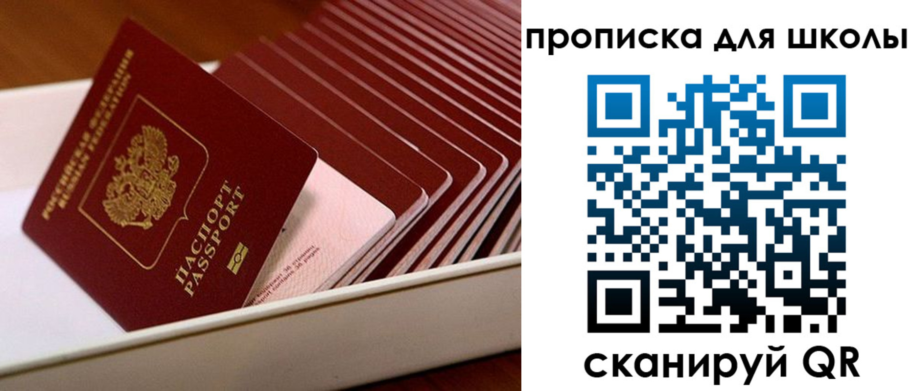 временная регистрация гарантия в Тавде